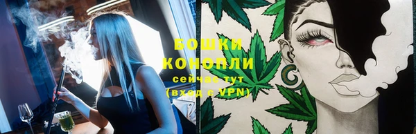 тгк Богородицк