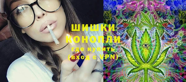 тгк Богородицк