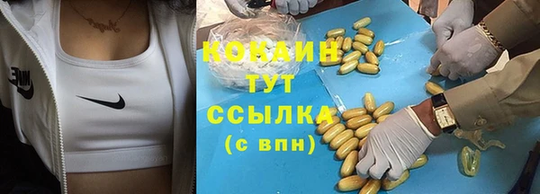 тгк Богородицк