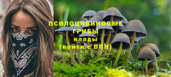 бутират Богданович