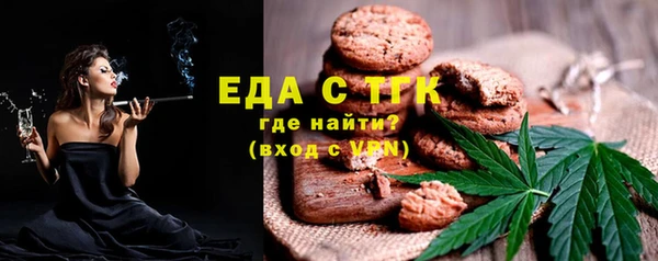 тгк Богородицк
