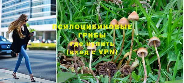 бутират Богданович