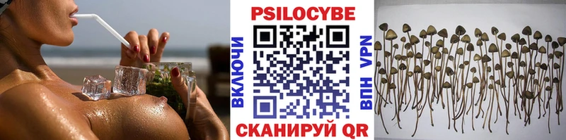 Купить закладки  Киренск  Псилоцибиновые грибы Psilocybine cubensis 